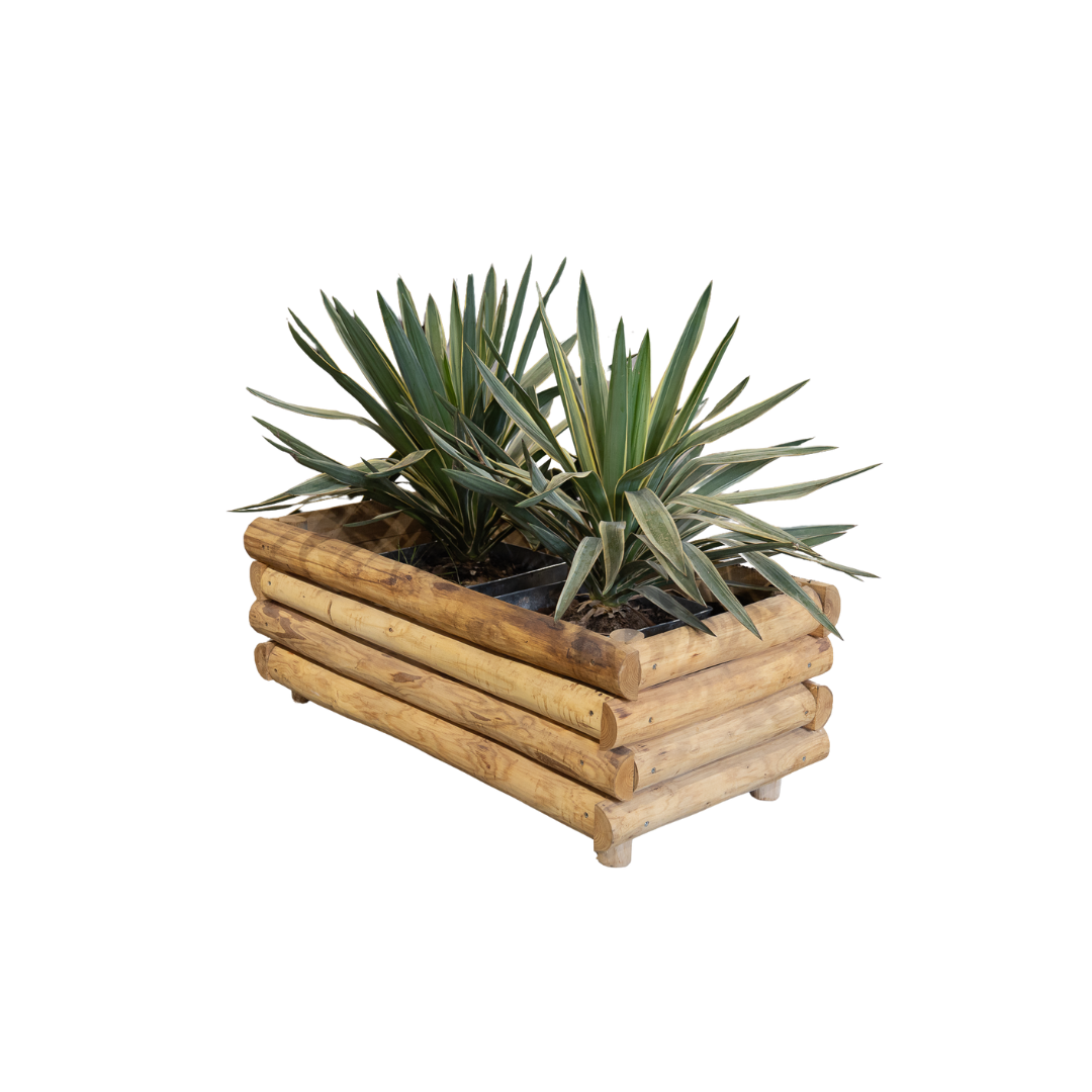 Jardinières et bordures de massif