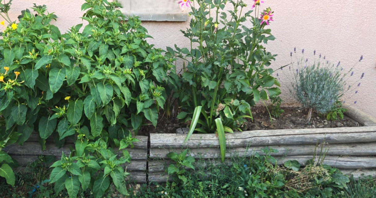 Jardinières et bordures de massif