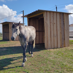 Abris de pré pour chevaux