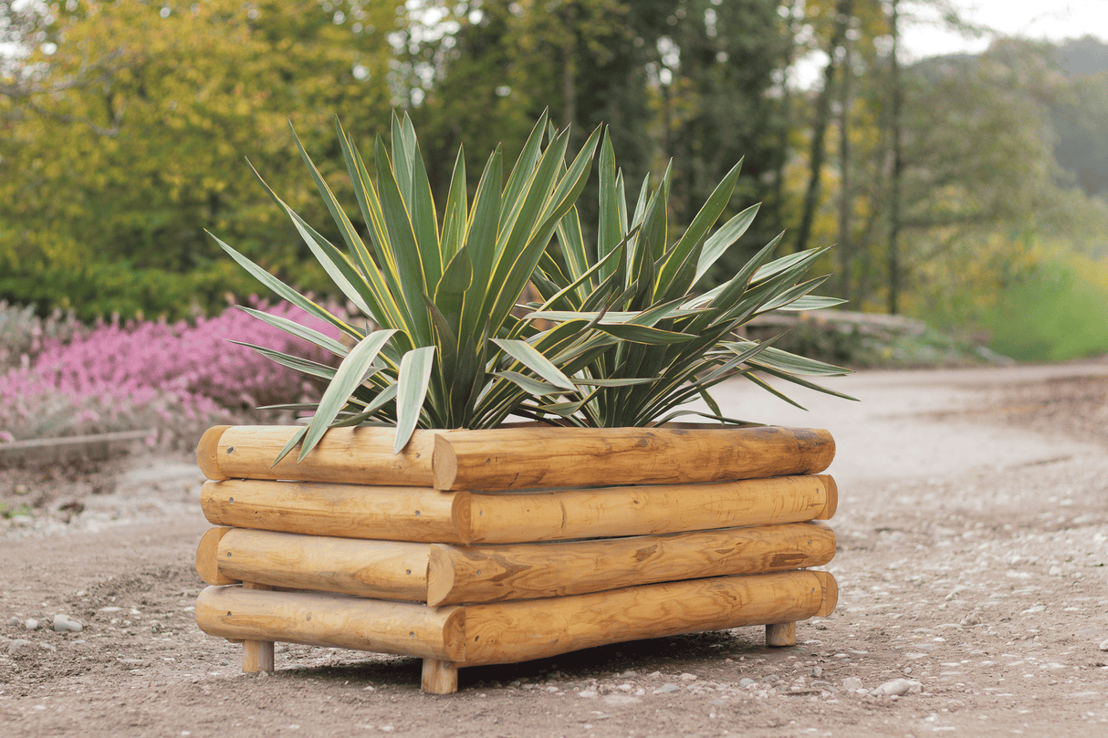 Jardinières et bordures de massif