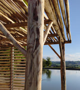 Pergola paillote