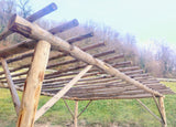 Pergola en rondins