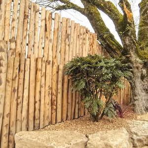 Piquets ronds écorcés