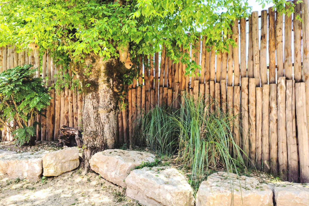 Piquet rond écorcé